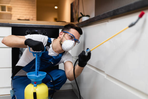  Spirit Lake, ID Pest Control Pros