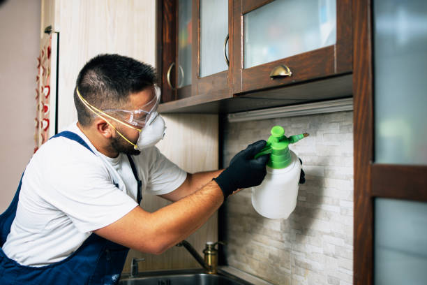 Best Bed Bug Extermination  in Spirit Lake, ID