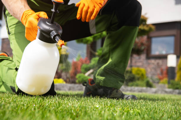 Pest Control for Restaurants in Spirit Lake, ID