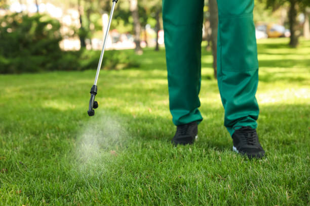 Best Pest Prevention Services  in Spirit Lake, ID