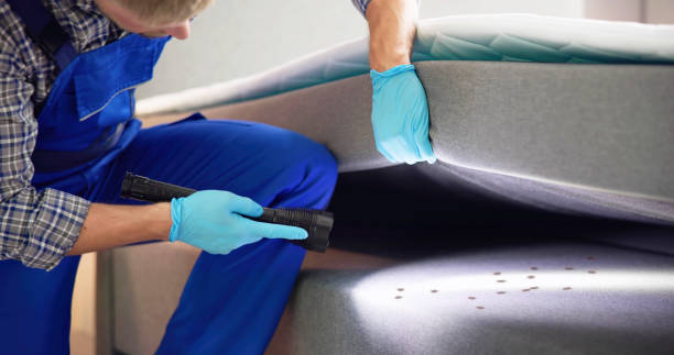 Best Commercial Pest Control Services  in Spirit Lake, ID